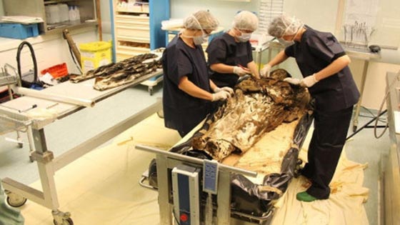 العثور على جثة امرأة داخل تابوت من الرصاص ومعها قلب زوجها.. فمن تكون؟ صورة رقم 1