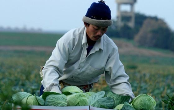 الصين تشترط على اسرائيل عدم تشغيل عمالها في المستوطنات  صورة رقم 2