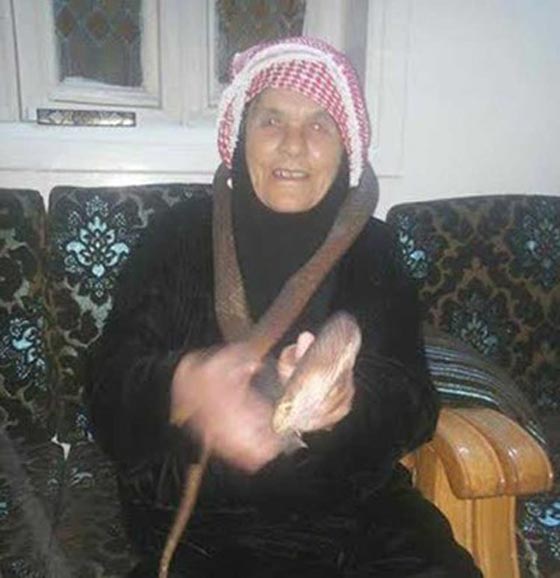 بالصور.. مسنة اردنية في السبعينيات تمسك أفعى سامة طولها متران صورة رقم 1