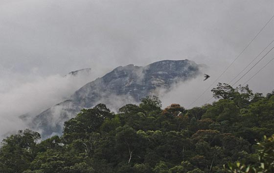 تبوّل السياح على الجبل المقدس في ماليزيا هو سبب الزلازل صورة رقم 4 تبوّل السياح على الجبل المقدس في ماليزيا هو سبب الزلازل صورة رقم 4