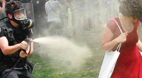 اغرب حكم على ضابط تركي.. تغريمه بزراعة 600 شجرة صورة رقم 1 اغرب حكم على ضابط تركي.. تغريمه بزراعة 600 شجرة صورة رقم 1