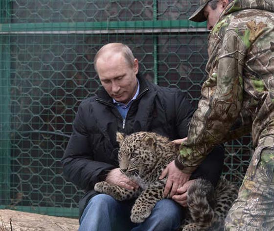 تعرف بالصور على الوجوه الاخرى لبوتين.. منها الصياد، الرياضي والمستكشف صورة رقم 2 تعرف بالصور على الوجوه الاخرى لبوتين.. منها الصياد، الرياضي والمستكشف صورة رقم 2