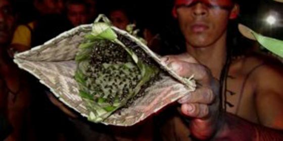 بالصور.. أغرب الطرق لاثبات الرجولة هل تجرؤ على تجريبها؟ صورة رقم 6 بالصور.. أغرب الطرق لاثبات الرجولة هل تجرؤ على تجريبها؟ صورة رقم 6