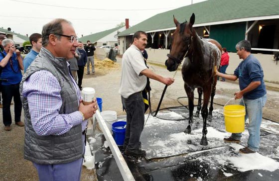 حصان الفرعون الامريكي ينقذ صاحبه المصري من الافلاس ويرفعه الى الصدارة!! صورة رقم 10