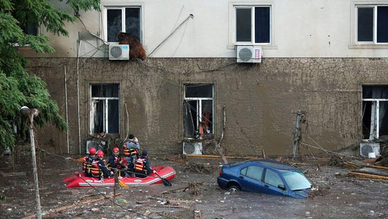 أسود ونمور ودببة تهرب الى شوارع جورجيا بسبب الفيضانات.. شاهد صورة رقم 5 أسود ونمور ودببة تهرب الى شوارع جورجيا بسبب الفيضانات.. شاهد صورة رقم 5