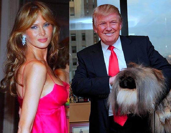 ملياردير مُسن ويعشق النساء يشمر عن ساعديه لخوض المنافسة على الرئاسة الامريكية صورة رقم 4 ملياردير مُسن ويعشق النساء يشمر عن ساعديه لخوض المنافسة على الرئاسة الامريكية صورة رقم 4