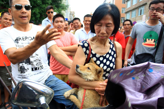 صينية تدفع 1000 يورو لانقاذ مجموعة كلاب من الذبح والطهي صورة رقم 8 صينية تدفع 1000 يورو لانقاذ مجموعة كلاب من الذبح والطهي صورة رقم 8