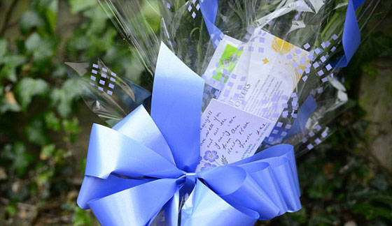 بالصور.. الغيرة دفعت كلب العائلة المدلل لقتل رضيع عمره 3 اسابيع صورة رقم 7 بالصور.. الغيرة دفعت كلب العائلة المدلل لقتل رضيع عمره 3 اسابيع صورة رقم 7