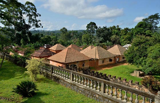  ملك افريقي ورث 72 زوجة من زوجات لأبيه ولديه 500 طفل  صورة رقم 7