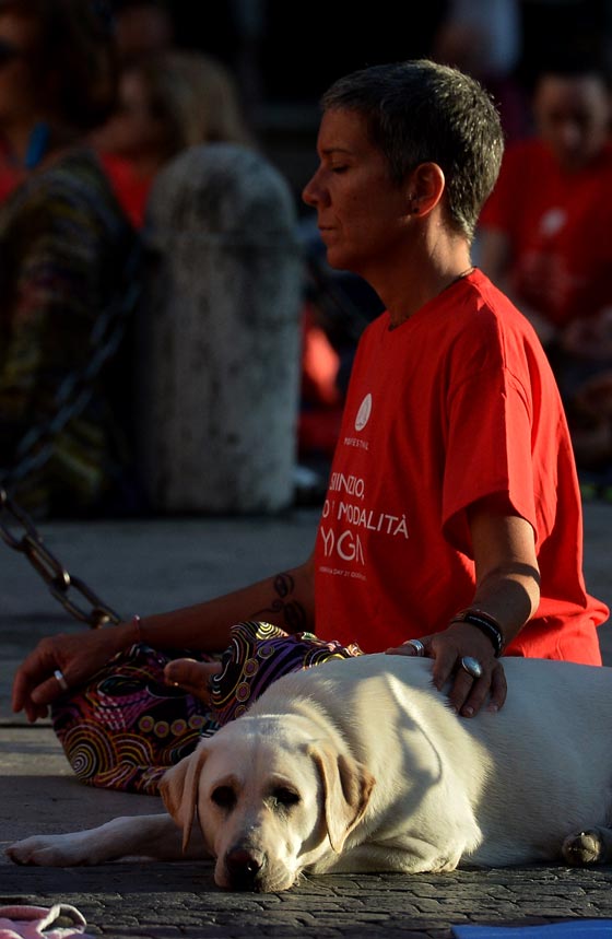 بالفيديو والصور.. العالم يخصّص يوم 21 حزيران للاحتفال بيوم اليوغا صورة رقم 33 بالفيديو والصور.. العالم يخصّص يوم 21 حزيران للاحتفال بيوم اليوغا صورة رقم 33