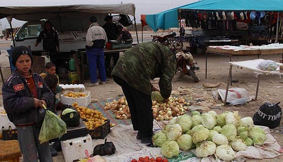  بالصور.. الدواعش يتناولون اشهى الأطباق وأهل الرقة يتضوّرون جوعا صورة رقم 5