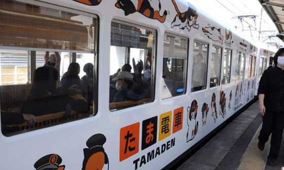 اليابان: الموت يغيب القطة تاما ناظرة محطة القطار ويحرم محبيها منها صورة رقم 4