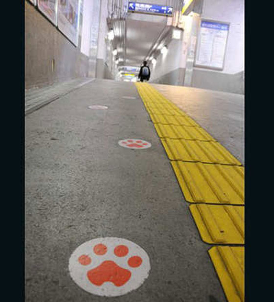 اليابان: الموت يغيب القطة تاما ناظرة محطة القطار ويحرم محبيها منها صورة رقم 7