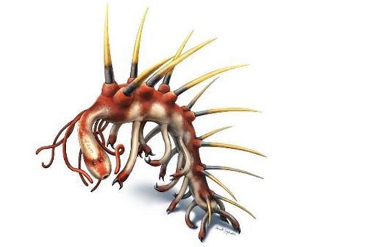 العلماء يكتشفون اخيرا لغز كائن الهلوسة صورة رقم 2 العلماء يكتشفون اخيرا لغز كائن الهلوسة صورة رقم 2