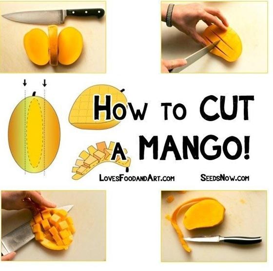 اخطاء شائعة تقوم بها يوميا: امسك البيتزا هكذا واستخدم سماعات الاذن بالشكل الصحيح صورة رقم 12 اخطاء شائعة تقوم بها يوميا: امسك البيتزا هكذا واستخدم سماعات الاذن بالشكل الصحيح صورة رقم 12