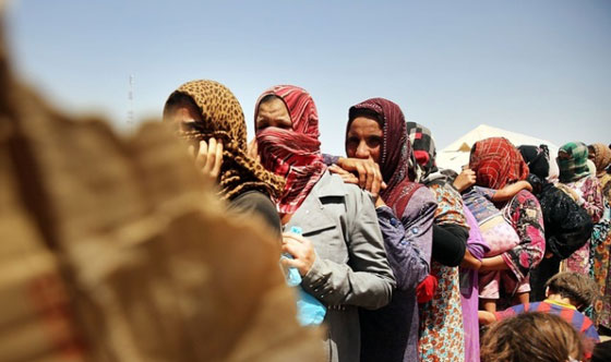 داعش يبيع 42 ايزيدية بمبالغ تراوحت بين 500 - 2000 دولار صورة رقم 3 داعش يبيع 42 ايزيدية بمبالغ تراوحت بين 500 - 2000 دولار صورة رقم 3