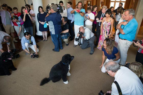 البيت الابيض يسمح بالتصوير داخله.. بعد عشرات السنين من المنع صورة رقم 10