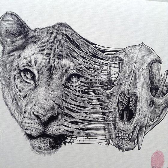 بالصور.. بول جاكسون فنان مبدع يحول رسوماته الى هياكل عظمية صورة رقم 3