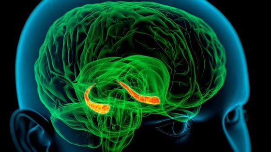  حيّر العلماء.. لماذا فقد الجندي البريطاني ذاكرته اثناء جراحة الأسنان؟ صورة رقم 2