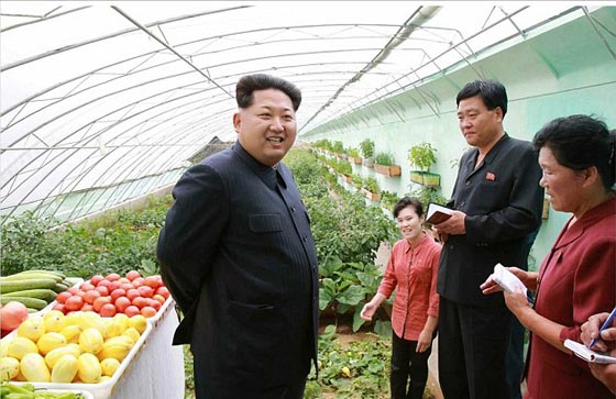 لماذا يتفحص كيم جونغ الخضروات بالميكروسكوب قبل تناوله له؟ صورة رقم 3