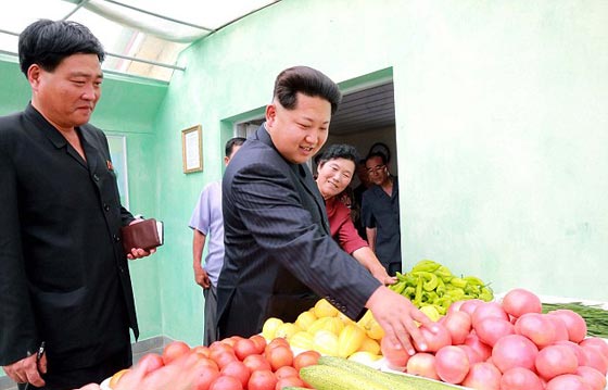 لماذا يتفحص كيم جونغ الخضروات بالميكروسكوب قبل تناوله له؟ صورة رقم 1