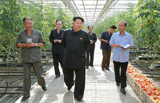 لماذا يتفحص كيم جونغ الخضروات بالميكروسكوب قبل تناوله له؟ صورة رقم 4