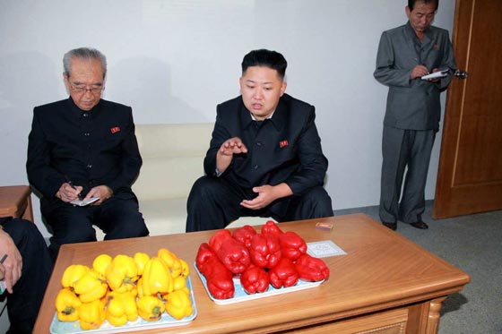 لماذا يتفحص كيم جونغ الخضروات بالميكروسكوب قبل تناوله له؟ صورة رقم 2