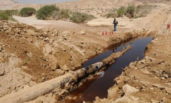 مبادرة غير شكل.. افتتاح سفارة لايران في تل ابيب ورفع علمها في شوارعها صورة رقم 3