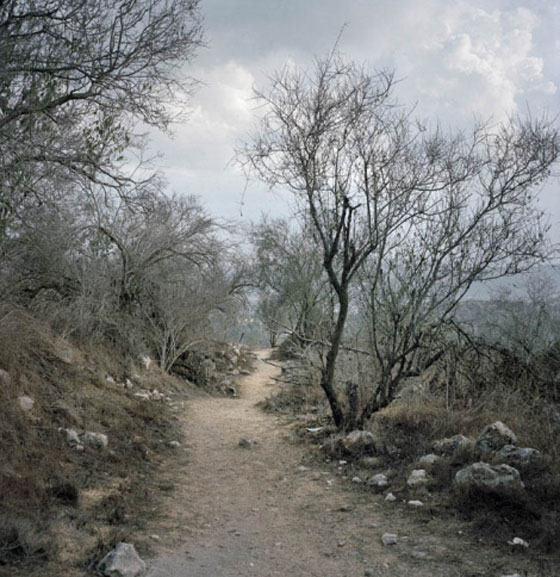 الغائبون.. معرض صور في رام الله يقدم القضية كاملة بـ25 صورة فقط!! صورة رقم 10