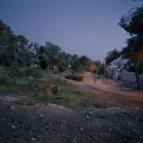 الغائبون.. معرض صور في رام الله يقدم القضية كاملة بـ25 صورة فقط!! صورة رقم 19