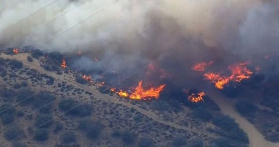 نار جهنم تشتعل في كاليفورنيا.. احتراق شارع بما عليه من سيارات ومبان صورة رقم 3