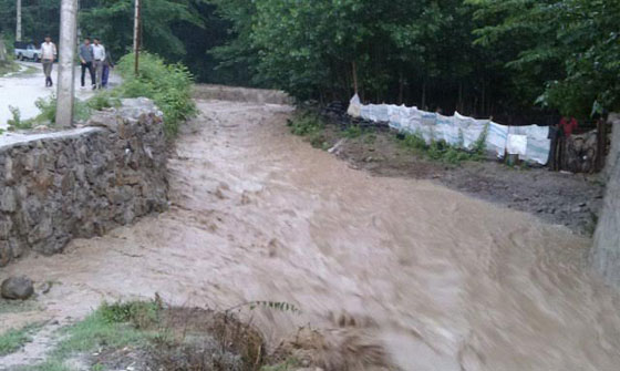  بالفيديو.. لحظة انهيار بنايات بالكامل في فيضانات بشمال ايران صورة رقم 14