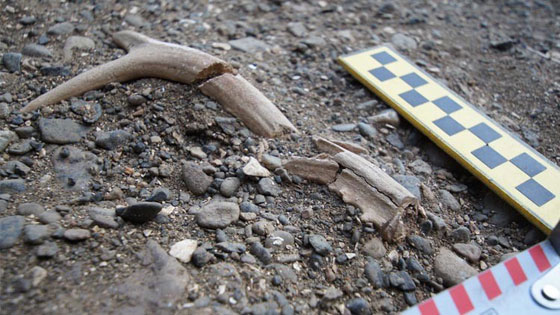 نفخ الحياة مجددا في بلدة روسية قديمة قرب مدينة فلاديفوستوك صورة رقم 2