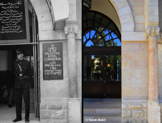 كاميرا فلسطينة تختصر ابرز ما في بلادها.. وتوثق لها شجرا وبشرا صورة رقم 3