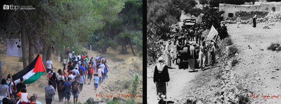 كاميرا فلسطينة تختصر ابرز ما في بلادها.. وتوثق لها شجرا وبشرا صورة رقم 6