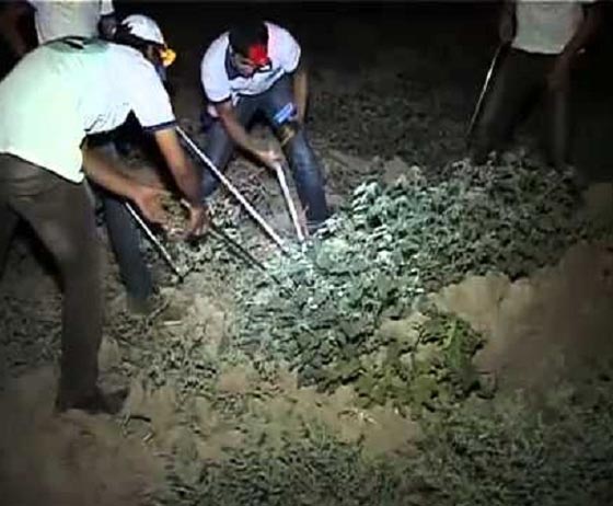 فهد ابو حية.. لدغته افعى فتحول دمه الى علاج مضاد لسم الافاعي صورة رقم 2