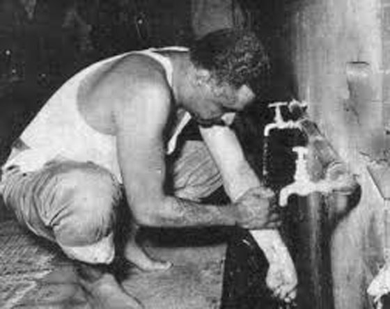 هل مات جمال عبد الناصر مسموما على يد جعفر النميري وابو نضال؟ صورة رقم 5