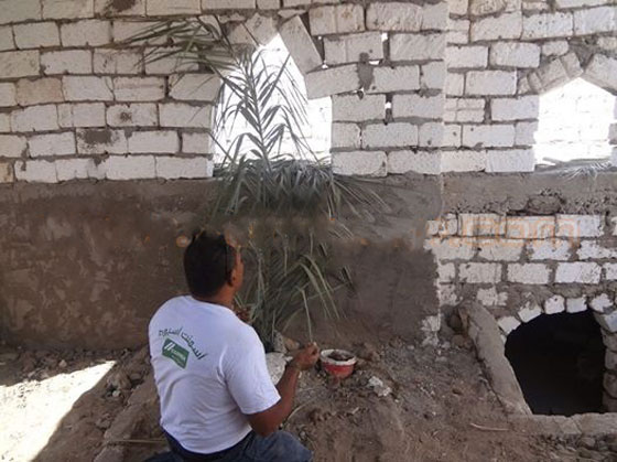 مسؤول مصري يفتح قبر والديه وينام بجانبهما للعبرة والعظة صورة رقم 2 مسؤول مصري يفتح قبر والديه وينام بجانبهما للعبرة والعظة صورة رقم 2