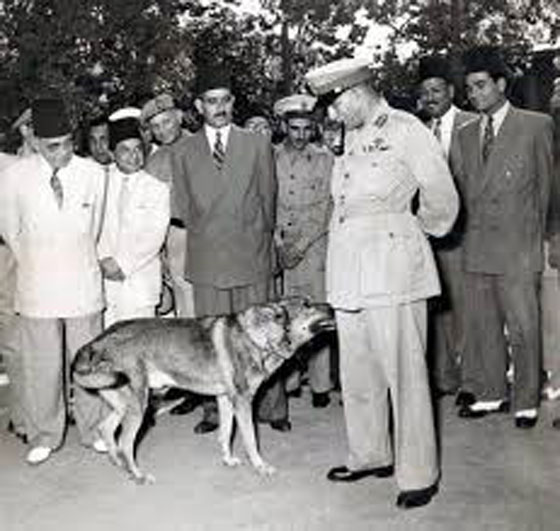 رسائل محمد نجيب اول رئيس مصري معزول تكشف اسرار الحقبة العسكرية صورة رقم 10