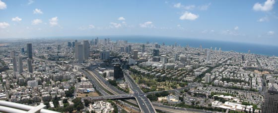 الجرذان قد تغرق تل ابيب مع بدء الحفريات للقطار الخفيف صورة رقم 1