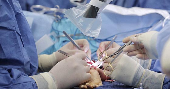 اول مرة في العالم.. عملية زرع يدين لطفل امريكي تتكلل بالنجاح صورة رقم 9 اول مرة في العالم.. عملية زرع يدين لطفل امريكي تتكلل بالنجاح صورة رقم 9