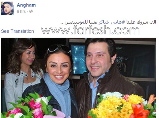 هانى شاكر يفوز بمنصب نقيب الموسيقيين، وتهنئة حارة من انغام  صورة رقم 1
