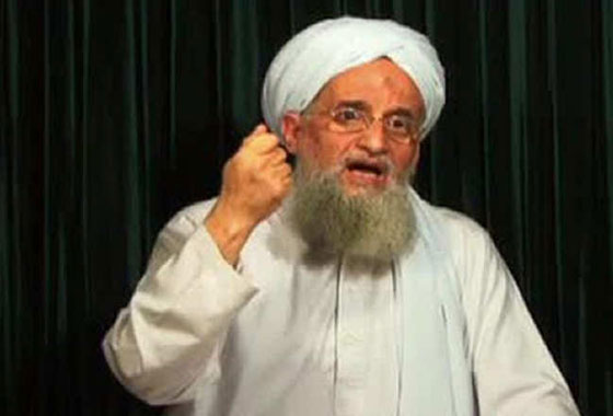 واشنطن تطلب رؤوس هؤلاء الارهابيين لتحقيق النصر المؤزر على الدواعش والقاعديين صورة رقم 4