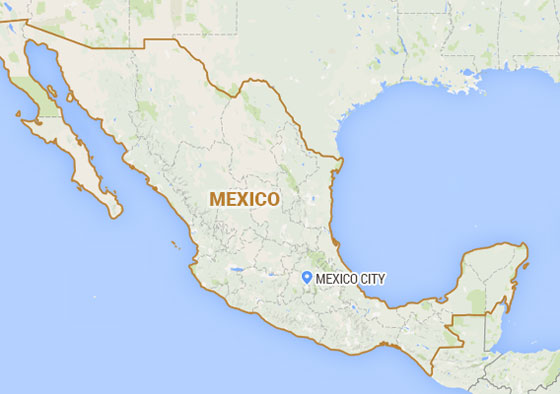 شاحنة مجنونة تقتل 12 شخصا بعد صدمها لحشد مكسيكي صورة رقم 1 شاحنة مجنونة تقتل 12 شخصا بعد صدمها لحشد مكسيكي صورة رقم 1