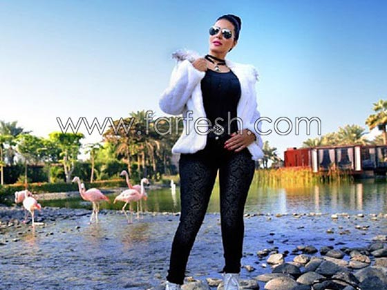 اي البلدان المفضلة لدى المشاهير العرب لقضاء اجازاتهم فيها ومع من؟ صورة رقم 8