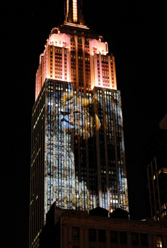 ناطحة سحاب في نيويورك تتحول لشاشة تعرض الحيوانات المهددة بالانقراض صورة رقم 4