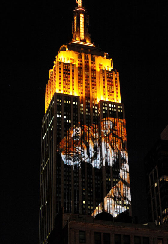 ناطحة سحاب في نيويورك تتحول لشاشة تعرض الحيوانات المهددة بالانقراض صورة رقم 7