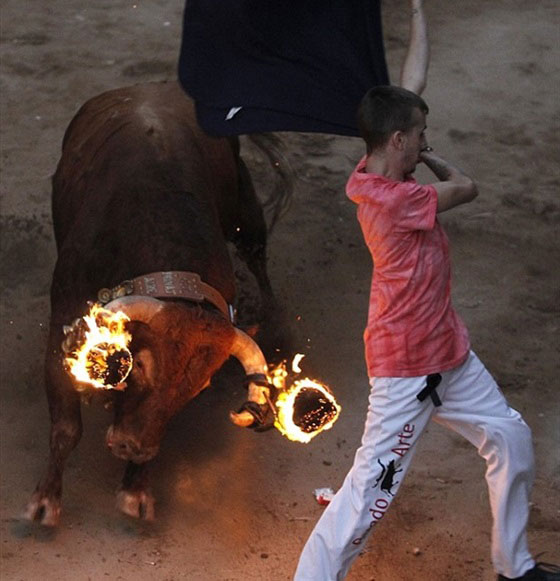 بالصور.. ثيران تهاجم مرتادي مهرجان مليانا بقرون مشتعلة بالنيران صورة رقم 1 بالصور.. ثيران تهاجم مرتادي مهرجان مليانا بقرون مشتعلة بالنيران صورة رقم 1