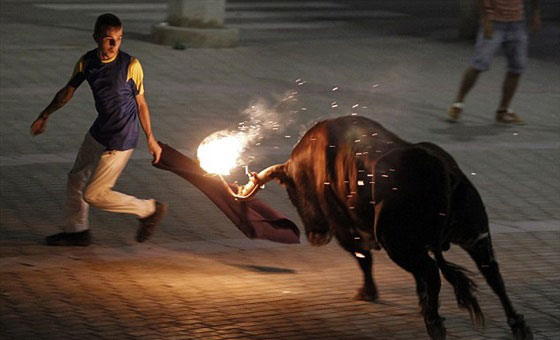 بالصور.. ثيران تهاجم مرتادي مهرجان مليانا بقرون مشتعلة بالنيران صورة رقم 5 بالصور.. ثيران تهاجم مرتادي مهرجان مليانا بقرون مشتعلة بالنيران صورة رقم 5