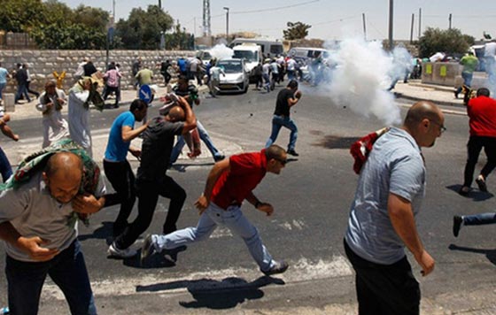 سرطان الاستيطان يتجه نحو دولة ترهب الفلسطينيين ولا تحكمها قوانين صورة رقم 6